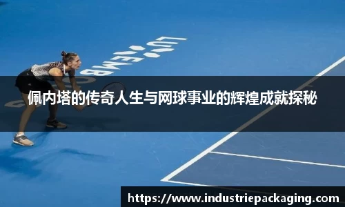 佩内塔的传奇人生与网球事业的辉煌成就探秘