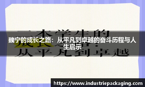 魏宁的成长之路：从平凡到卓越的奋斗历程与人生启示