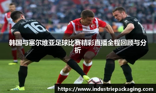韩国与塞尔维亚足球比赛精彩直播全程回顾与分析