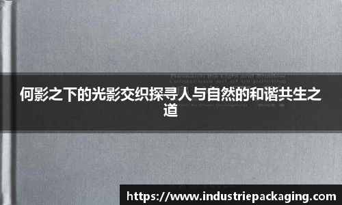 何影之下的光影交织探寻人与自然的和谐共生之道
