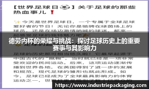 德劳内杯的荣耀与挑战：探讨足球历史上的重要赛事与其影响力