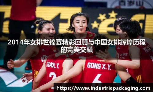 2014年女排世锦赛精彩回顾与中国女排辉煌历程的完美交融