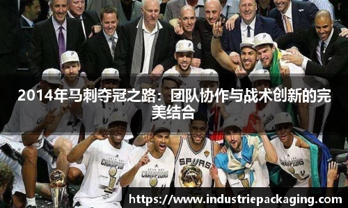 2014年马刺夺冠之路：团队协作与战术创新的完美结合