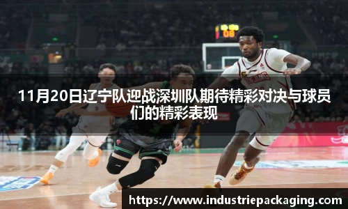 11月20日辽宁队迎战深圳队期待精彩对决与球员们的精彩表现