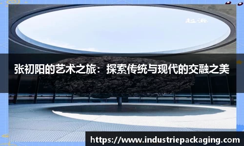 张初阳的艺术之旅：探索传统与现代的交融之美