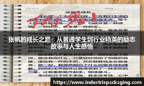 张帆的成长之路：从普通学生到行业精英的励志故事与人生感悟