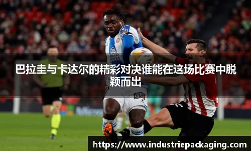 fun88乐天堂网址